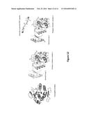 SYSTEMS AND METHODS FOR EVOLVING ENZYMES WITH DESIRED ACTIVITIES diagram and image