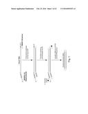 NUCLEIC ACID SEQUENCE ANALYSIS FROM SINGLE CELLS diagram and image