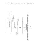 NUCLEIC ACID SEQUENCE ANALYSIS FROM SINGLE CELLS diagram and image