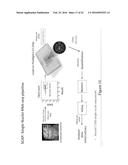 NUCLEIC ACID SEQUENCE ANALYSIS FROM SINGLE CELLS diagram and image