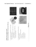 NUCLEIC ACID SEQUENCE ANALYSIS FROM SINGLE CELLS diagram and image