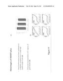 NUCLEIC ACID SEQUENCE ANALYSIS FROM SINGLE CELLS diagram and image