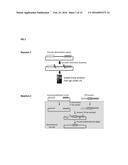 Methods Of Modifying A Sequence Using CRISPR diagram and image