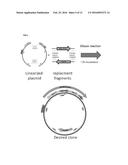 Methods Of Modifying A Sequence Using CRISPR diagram and image