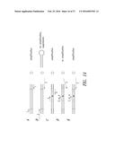 METHODS FOR QUANTITATIVE GENETIC ANALYSIS OF CELL FREE DNA diagram and image