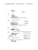 RNA AMPLIFICATION METHODS diagram and image