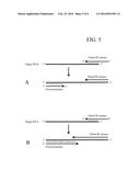 RNA AMPLIFICATION METHODS diagram and image