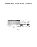 DIFFERENTIATION OF MACROMOLECULES AND ANALYSIS OF THEIR INTERNAL CONTENT     IN SOLID-STATE NANOPORE DEVICES diagram and image