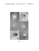 DIFFERENTIATION OF MACROMOLECULES AND ANALYSIS OF THEIR INTERNAL CONTENT     IN SOLID-STATE NANOPORE DEVICES diagram and image