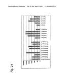 IDENTIFICATION OF TUMOUR-ASSOCIATED CELL SURFACE ANTIGENS FOR DIAGNOSIS     AND THERAPY diagram and image