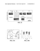 CORE-SHELL NANOFIBER TEXTILES FOR STRAIN SENSING, AND METHODS OF THEIR     MANUFACTURE diagram and image