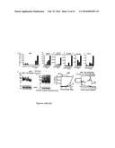 PERFORIN 2 DEFENSE AGAINST INVASIVE AND MULTIDRUG RESISTANT PATHOGENS diagram and image