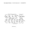 PERFORIN 2 DEFENSE AGAINST INVASIVE AND MULTIDRUG RESISTANT PATHOGENS diagram and image