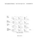 PERFORIN 2 DEFENSE AGAINST INVASIVE AND MULTIDRUG RESISTANT PATHOGENS diagram and image