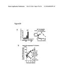 PERFORIN 2 DEFENSE AGAINST INVASIVE AND MULTIDRUG RESISTANT PATHOGENS diagram and image