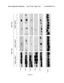 Method for Determining Radiosensitivity diagram and image