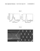 METHOD FOR MANUFACTURING A SUSPENDED SINGLE CARBON NANOWIRE AND PILED     NANO-ELECTRODE PAIRS diagram and image