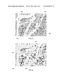 Methods and Apparatus for Unmanned Aerial Vehicle Autonomous Aviation diagram and image