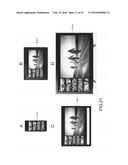 DISPLAY CONTROL APPARATUS, DISPLAY CONTROL METHOD AND DISPLAY CONTROL     PROGRAM diagram and image