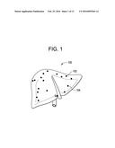 ORGAN CONSTRUCT AND METHODS OF MANUFACTURE THEREOF diagram and image