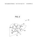 ORGAN CONSTRUCT AND METHODS OF MANUFACTURE THEREOF diagram and image