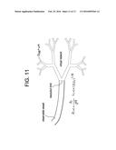 ORGAN CONSTRUCT AND METHODS OF MANUFACTURE THEREOF diagram and image