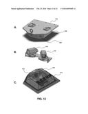 AVIAN DETECTION SYSTEMS AND METHODS diagram and image