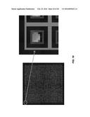 METHODS AND SYSTEMS FOR DIGITALLY COUNTING FEATURES ON ARRAYS diagram and image