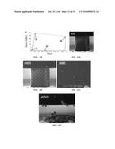 DESIGN, USE AND FABRICATION OF MICROSCAFFOLDS AND NANOSCAFFOLDS diagram and image
