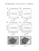 DESIGN, USE AND FABRICATION OF MICROSCAFFOLDS AND NANOSCAFFOLDS diagram and image