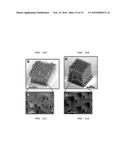 DESIGN, USE AND FABRICATION OF MICROSCAFFOLDS AND NANOSCAFFOLDS diagram and image