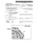 POLYMER ELECTROLYTE FOR LITHIUM BATTERY AND LITHIUM BATTERY INCLUDING THE     POLYMER ELECTROLYTE diagram and image