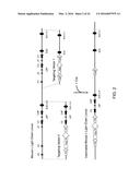 Human Lambda Light Chain Mice diagram and image