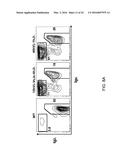 Human Lambda Light Chain Mice diagram and image