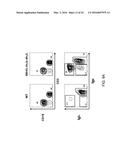 Human Lambda Light Chain Mice diagram and image