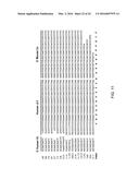 Human Lambda Light Chain Mice diagram and image