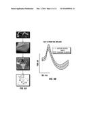 STRONG, CONDUCTIVE CARBON NANOTUBE ELECTRODES diagram and image