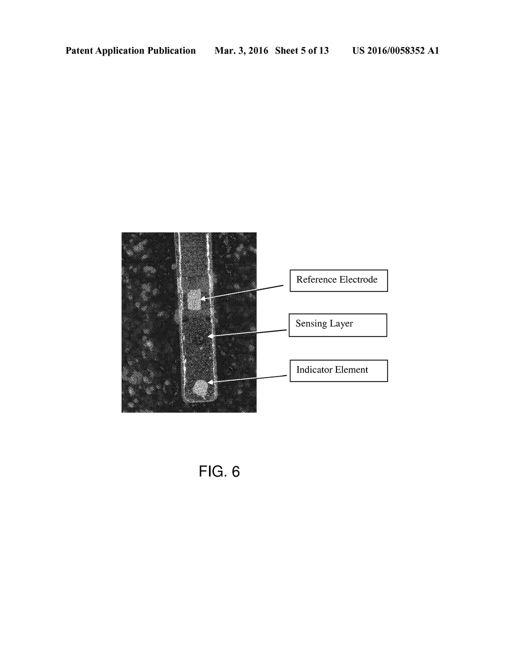 Service-Detectable Analyte Sensors and Methods of Using and Making Same - diagram, schematic, and image 06