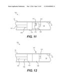 DEVICES FOR DAMAGING NERVES AND RELATED METHODS OF USE diagram and image