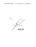 DEVICES FOR DAMAGING NERVES AND RELATED METHODS OF USE diagram and image