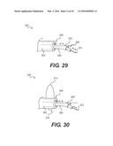 DEVICES FOR DAMAGING NERVES AND RELATED METHODS OF USE diagram and image