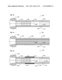 Gastrointestinal Device with Associated Commensal Microbes diagram and image