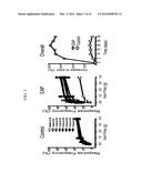 MAST CELL MARKERS AND PREVENTION, DIAGNOSIS, AND THERAPY FOR CHRONIC     PELVIC PAIN SYNDROME diagram and image