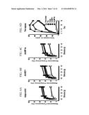 MAST CELL MARKERS AND PREVENTION, DIAGNOSIS, AND THERAPY FOR CHRONIC     PELVIC PAIN SYNDROME diagram and image