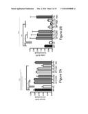 MICROBE-BASED MODULATION OF SEROTONIN BIOSYNTHESIS diagram and image