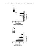 MICROBE-BASED MODULATION OF SEROTONIN BIOSYNTHESIS diagram and image