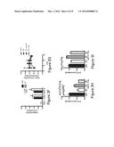 MICROBE-BASED MODULATION OF SEROTONIN BIOSYNTHESIS diagram and image