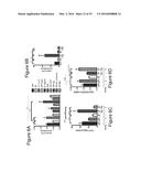 MICROBE-BASED MODULATION OF SEROTONIN BIOSYNTHESIS diagram and image