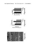 MICROBE-BASED MODULATION OF SEROTONIN BIOSYNTHESIS diagram and image