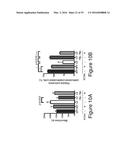 MICROBE-BASED MODULATION OF SEROTONIN BIOSYNTHESIS diagram and image